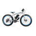 Электрофэтбайк E-motion Fatbike 48V 21Ah 1000 Вт белый